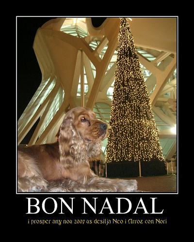 Bon Nadal